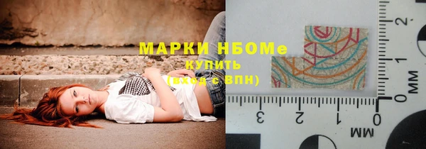 индика Елизово