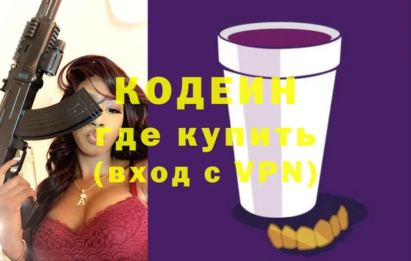 индика Елизово