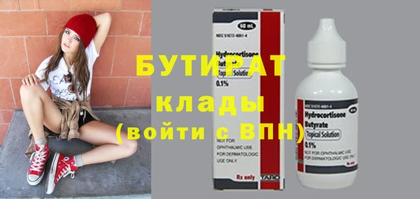индика Елизово