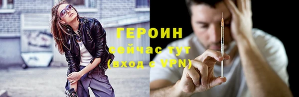 индика Елизово