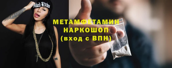 прущие грибы Заволжск