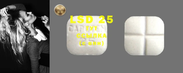 индика Елизово