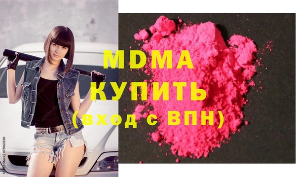 индика Елизово