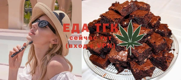 индика Елизово