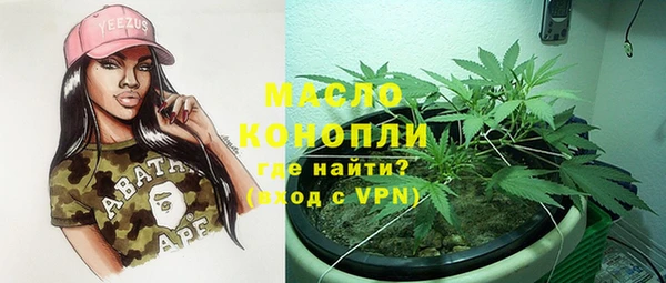 индика Елизово