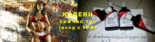 прущие грибы Заволжск