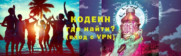 прущие грибы Заволжск