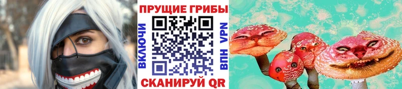 MEGA ССЫЛКА  Светлогорск  Псилоцибиновые грибы мицелий 